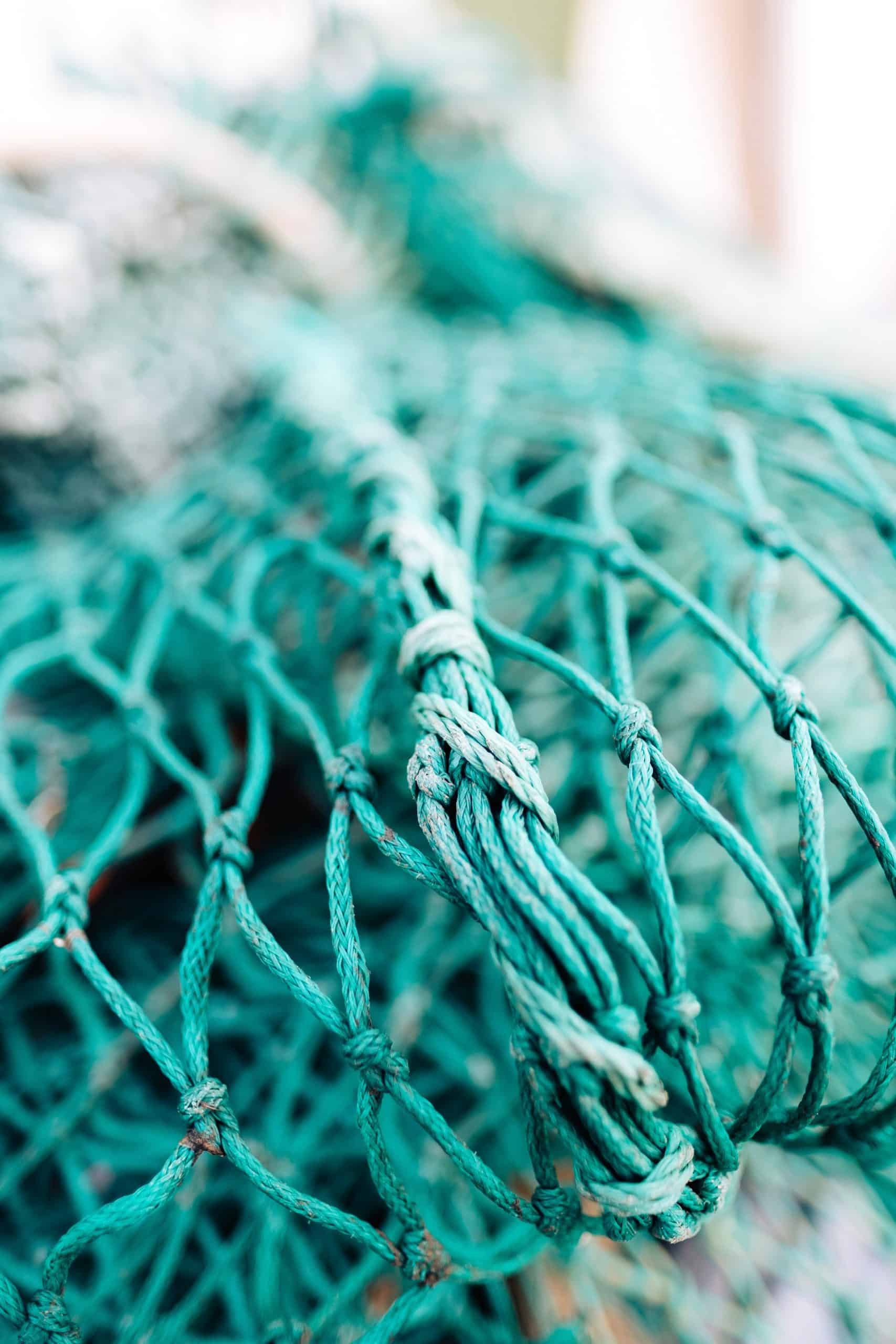 EGFheal Fine Fishing Net with Handle Brine Shrimp Separation Net for Aquarium Fish Bowl Short handle